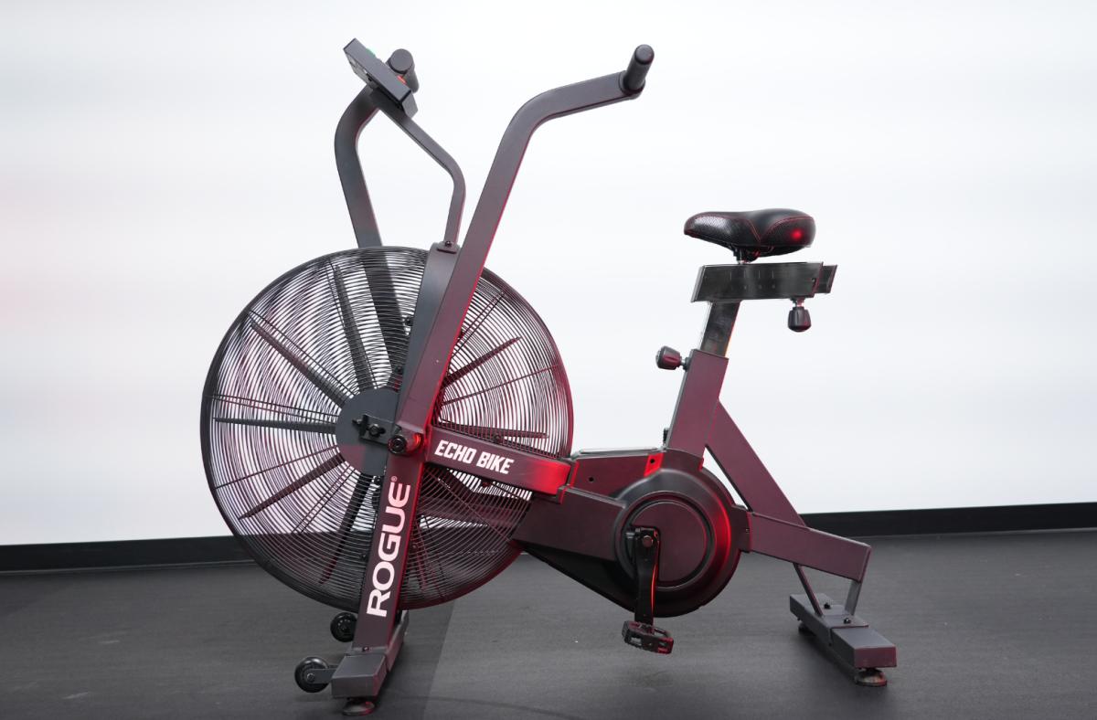 Rogue Echo Bike